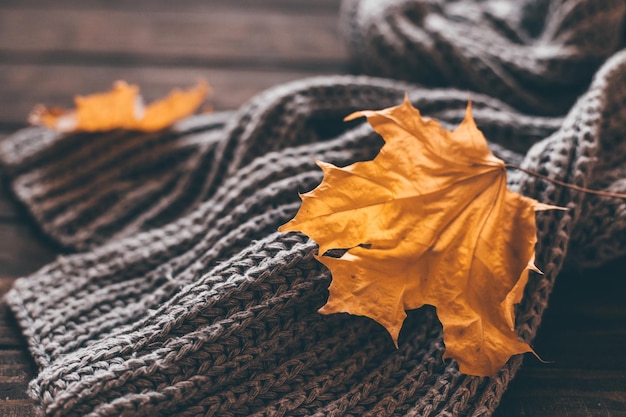 Autumn home cozy composition with a scarf and maple leaves on a wooden background