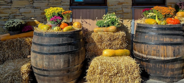 Autumn installations hay flowers and pumpkins