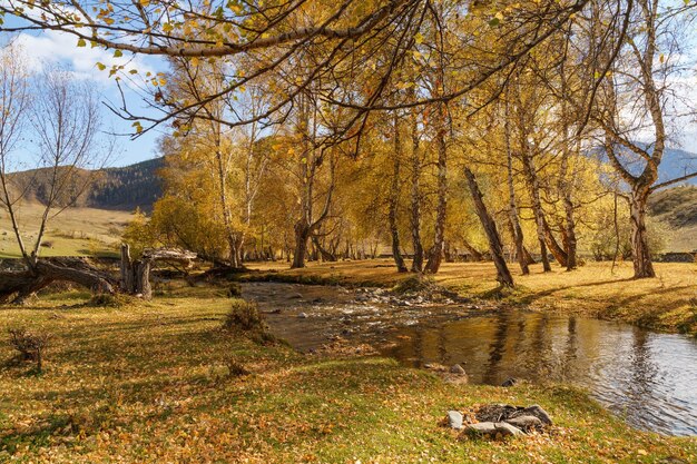 The autumn landscape of Altai Republic Siberia Russia