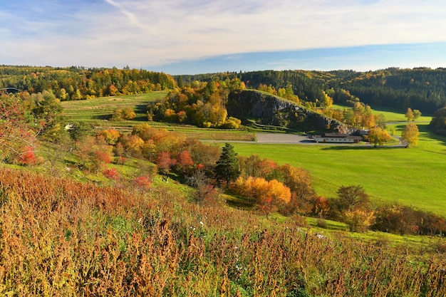 Autumn landscape Beautiful colorful leaves in nature with the sun Seasonal concept outdoors in autumn park