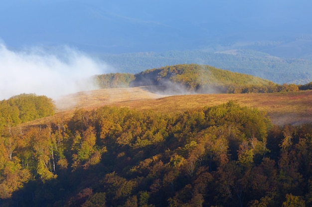 Autumn landscape. Beech forest in the mountains. Beautiful mist over the hill