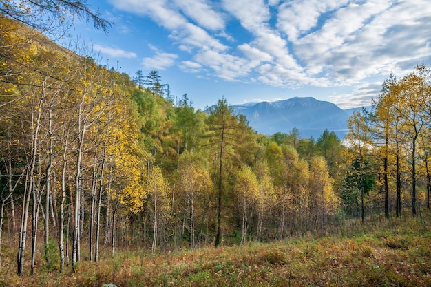 Autumn landscape on the coast of Lake Teletskoye Altai Mountains