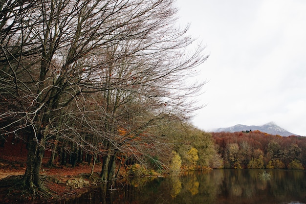 Autumn Landscape of a colourful forest and water reflections in the lake