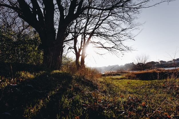 Autumn landscape in early sunny morning.