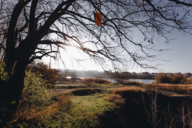 Autumn landscape in early sunny morning.