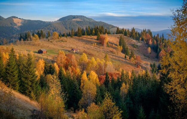 Autumn landscape of forest mountains and hill on sunset