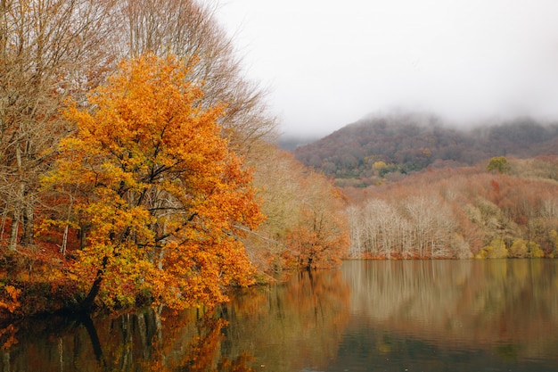 Autumn landscape of a lake in the mountains and a colourful tree with orange leaves in a cloudy day