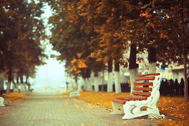 autumn landscape morning in the fog / alley in the city park, misty landscape in the city, trees in the city