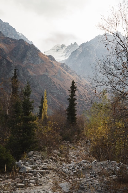 Autumn landscape above mountain pass, National park Ala Arch, Kyrgyzstan.