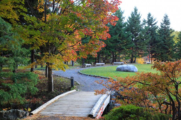 Autumn landscape at Nakajima Park, Sapporo City, Japan.