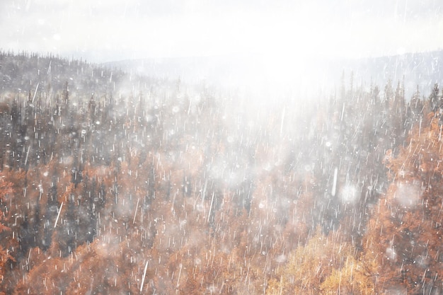 autumn landscape nature rain drops weather wet outdoor landscape view autumn weather