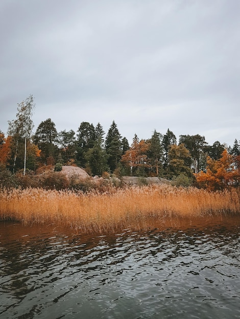 Autumn landscape Park in the city October