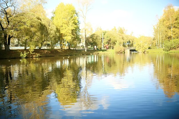 autumn landscape in the park / seasonal yellow landscape sunny park with fallen leaves