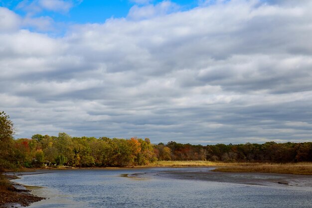 Autumn landscape of river and trees without leaves blue sky and clouds on a sunny day