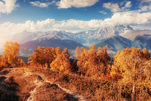 Autumn landscape and snow-capped mountain peaks. View of the mou