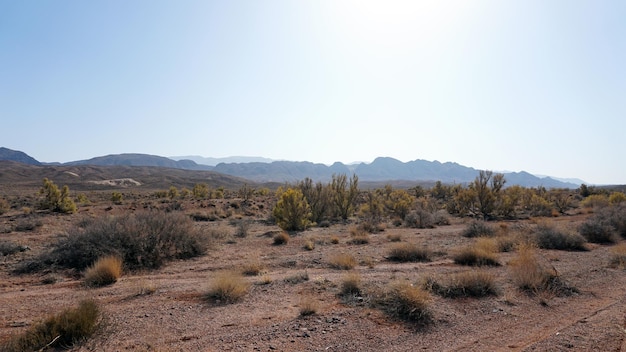 Autumn landscape of the steppe