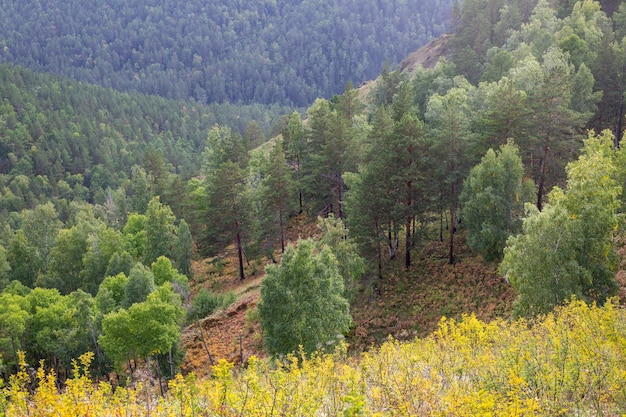 Autumn landscape on a sunny day forested mountains rocks lush grass