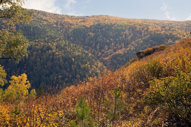 Autumn landscape on a sunny day forested mountains rocks lush grass