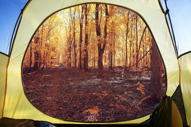 autumn landscape view from the tent tourism