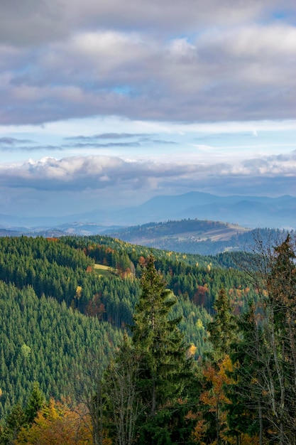 Autumn landscape with cloudy cold weather in carpathian mountains