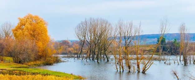 Autumn landscape with colorful orange trees by the river