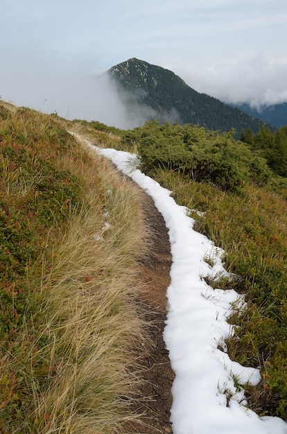 Autumn landscape with the first snow. Cloudy day in the mountains. Carpathians, Ukraine, Europe