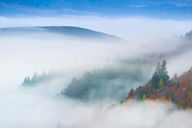 Autumn landscape with fog in the mountains Fir forest on the hills Carpathians Ukraine Europe