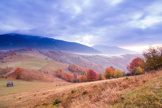 Autumn landscape with fog in the mountains Fir forest on the hills Carpathians Ukraine Europe