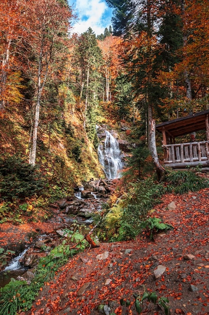 Autumn landscape with a forest waterfall