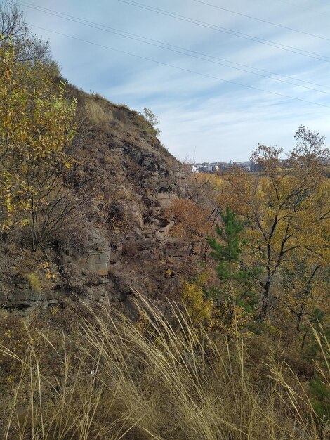 Autumn landscape with a gray mountain and trees with yellow leaves