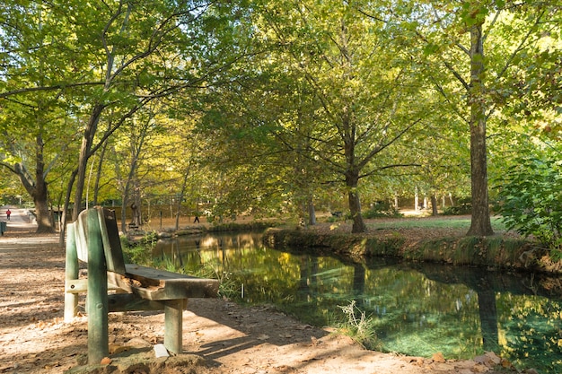 Autumn landscape with lush trees