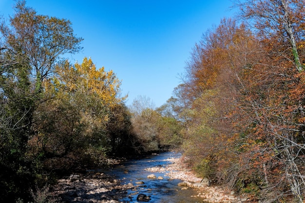 Autumn landscape with mountain dry brook and forest