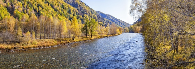 Autumn landscape with a mountain river