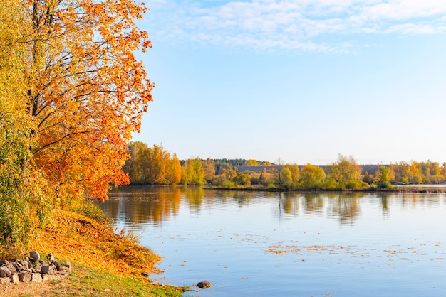 Autumn landscape with a river