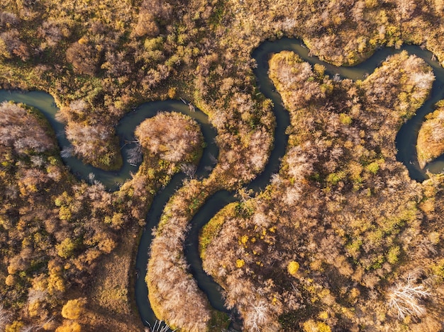 autumn landscape with river