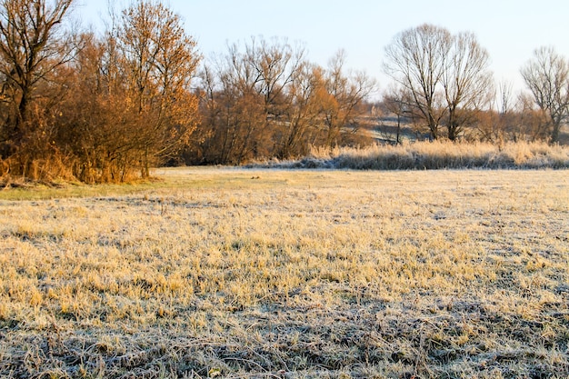 Autumn landscape with trees and wide meadow covered by the first rime