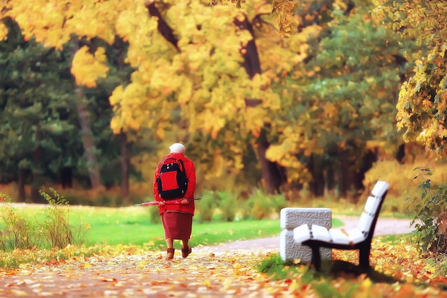 autumn landscape / yellow trees in autumn park, bright orange forest