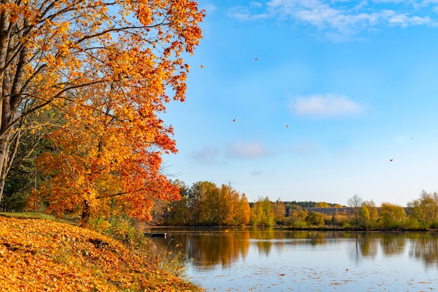 Autumn landscape