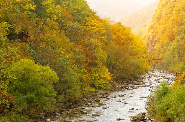 Autumn landscape.