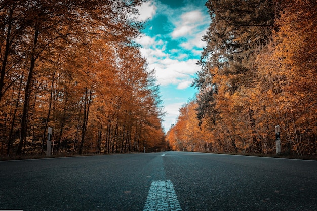 Autumn Landscape