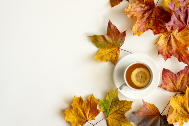 Autumn layout. Fallen bright leaves and cup of hot tea with lemon on a white background. Top view