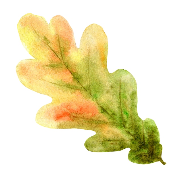 Autumn leaf isolated on a white background watercolor autumn leaf hand drawn illustration