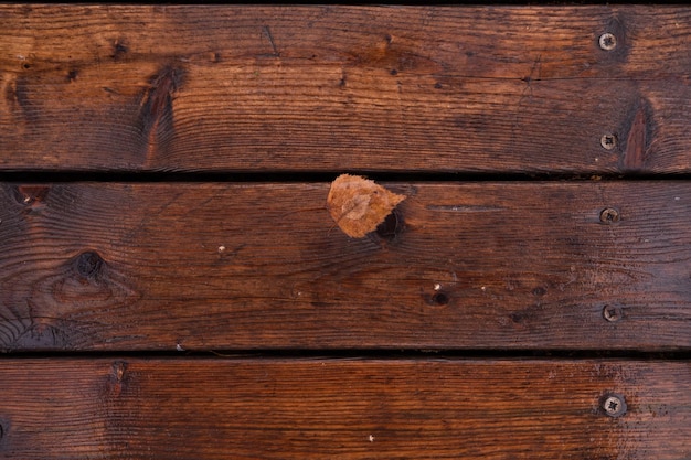 Autumn leaf on a rainy day on a wet wooden background top view