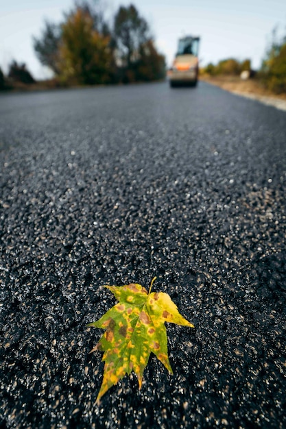 Autumn leaves on asphalt road