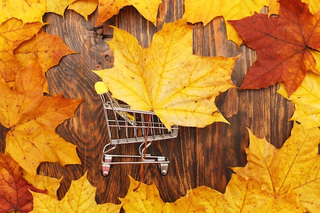 Autumn Leaves background with shopping cart autumn discount and sale concept