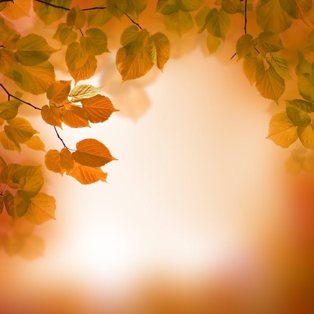 Autumn leaves, blurred background