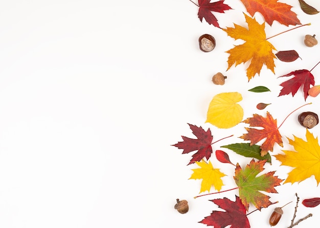 Autumn leaves border frame isolated on white background with copy space for text. design use