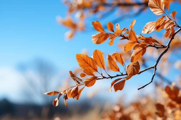 Autumn leaves on a branch Generative AI