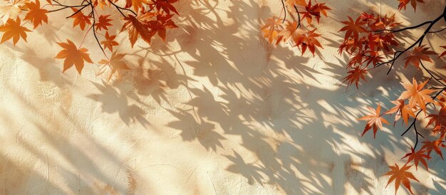 Photo autumn leaves cast shadows on a wall