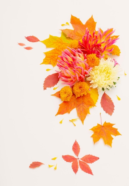 Autumn leaves and flowers composition on white background